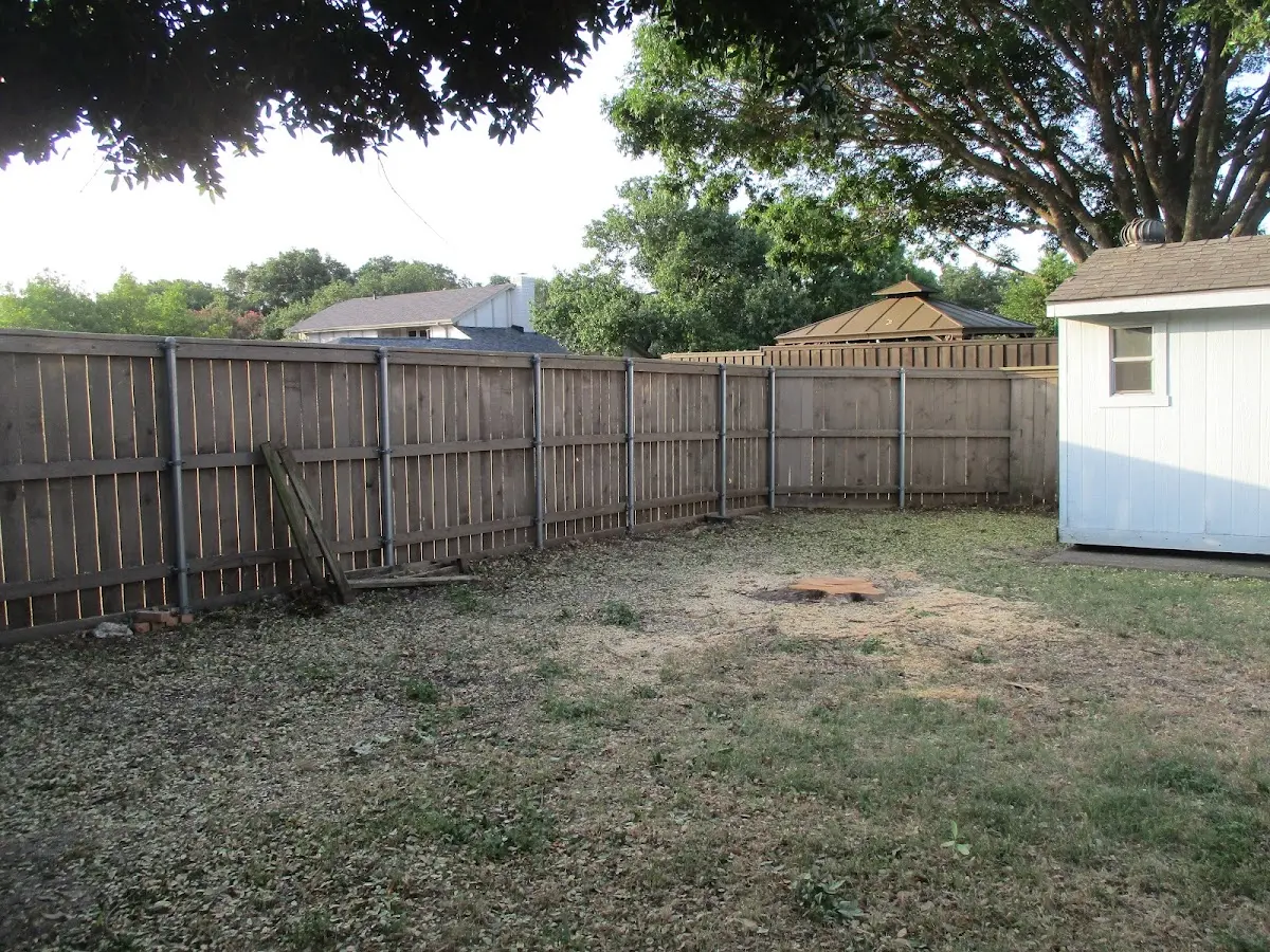Cleared yard after professional tree removal in North Highlands